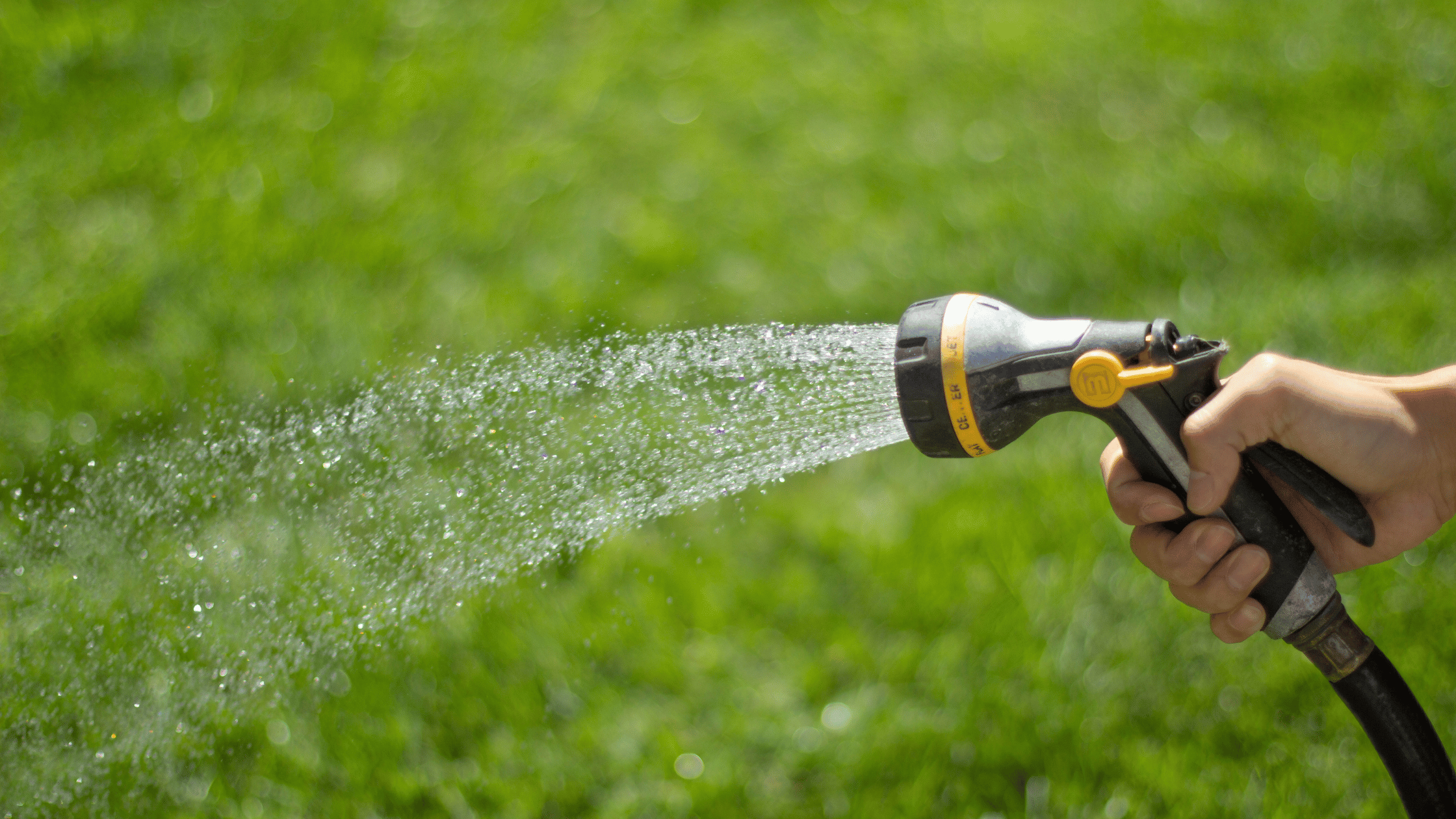 Combien et quand arroser : la règle des 2,5 cm
