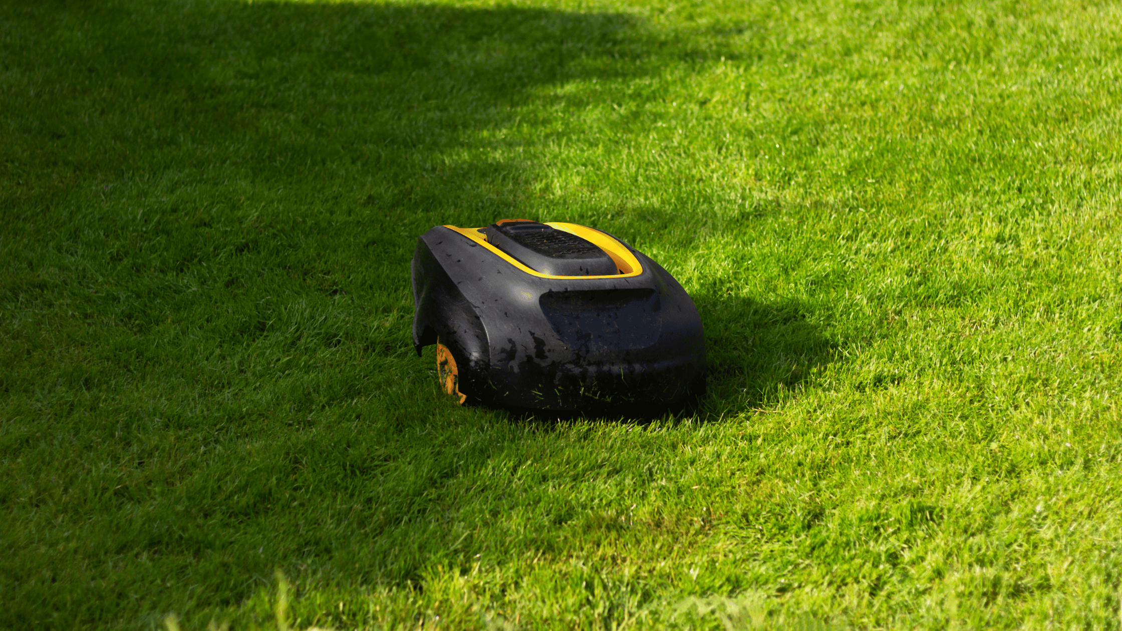 Robot tondeuse à moins de 1 000 € : ça vaut encore le coup en 2026 ?